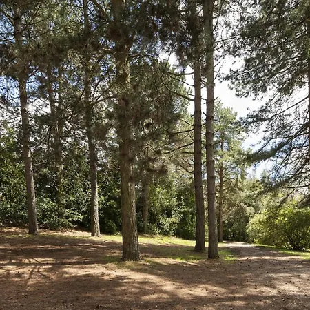 Parco Dei Cimini Hotel Soriano nel Cimino